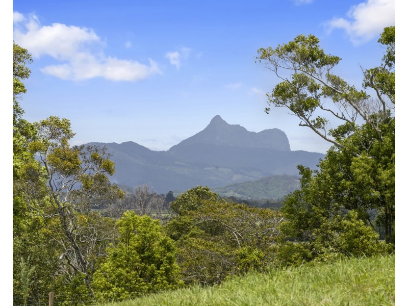 193 Dulguigan Road, Dulguigan NSW 2484