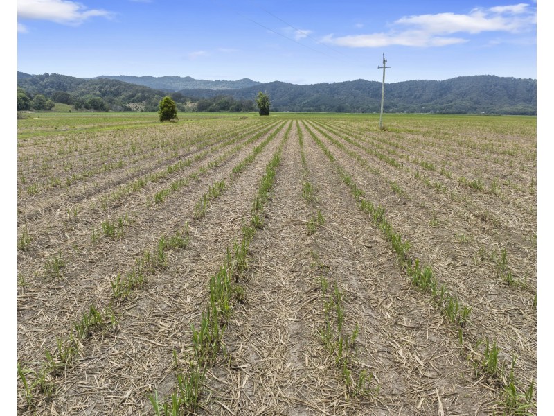 193 Dulguigan Road, Dulguigan NSW 2484