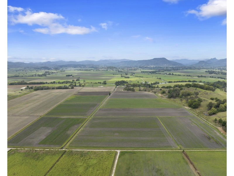 193 Dulguigan Road, Dulguigan NSW 2484