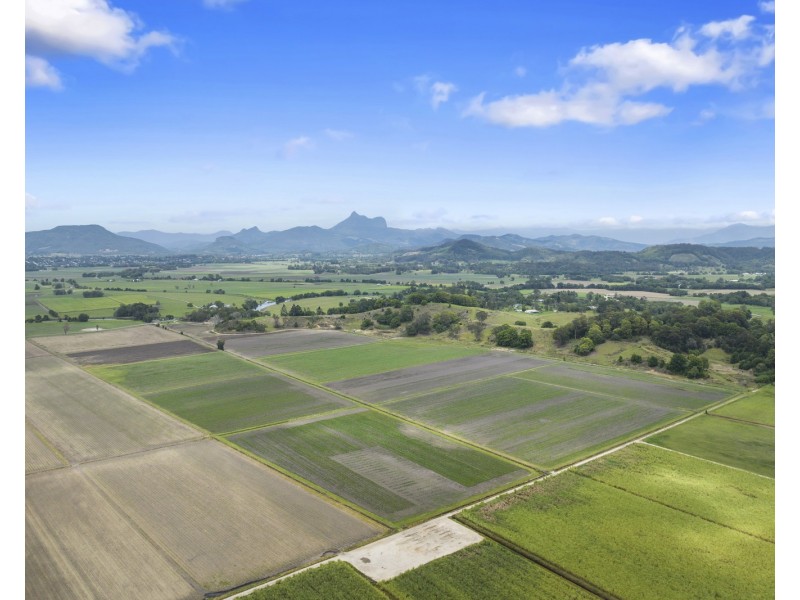 193 Dulguigan Road, Dulguigan NSW 2484