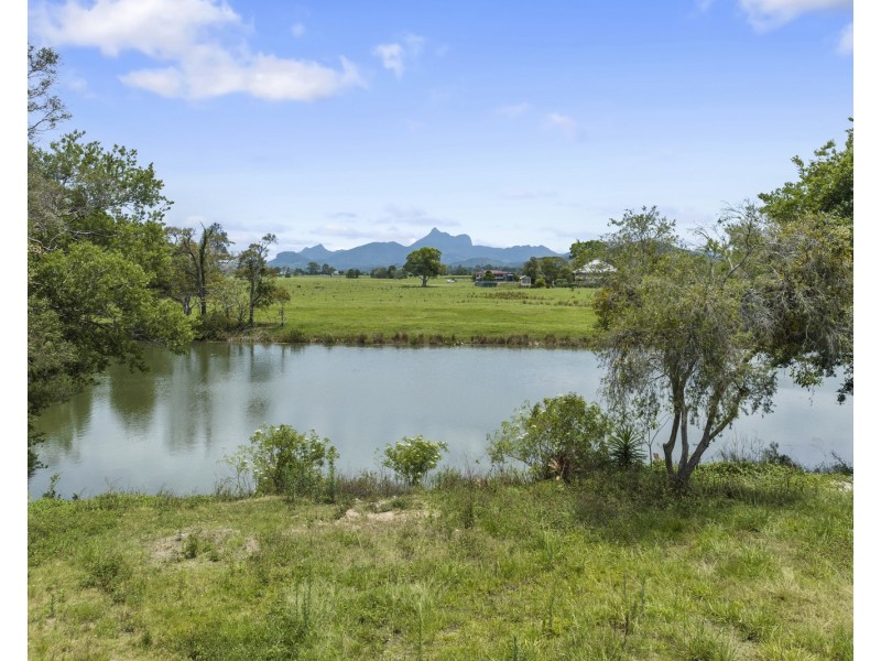 193 Dulguigan Road, Dulguigan NSW 2484