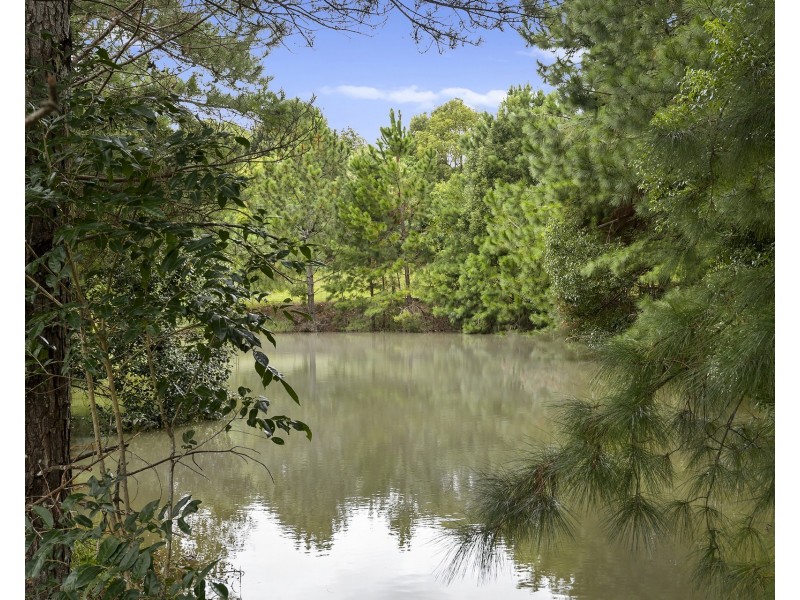 62 Crofters Way, Bilambil NSW 2486