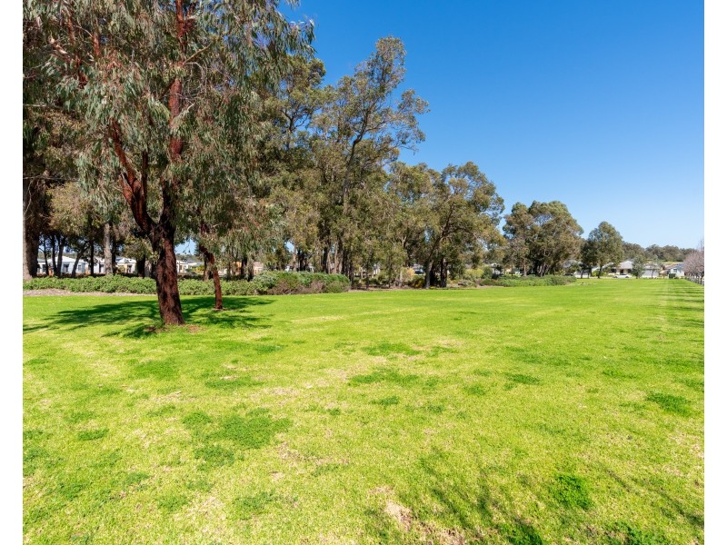 36 Firebrand Grove, Baldivis WA 6171