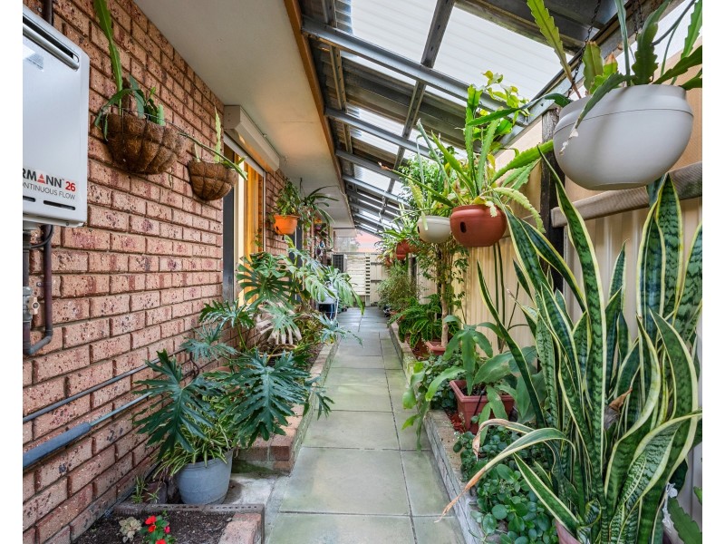 19 Conway Loop, Waikiki WA 6169