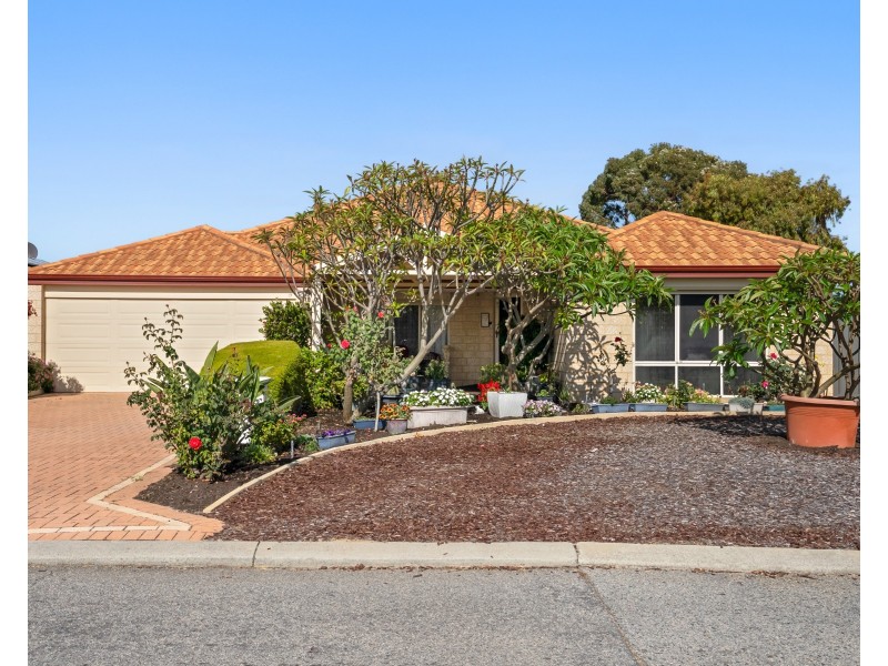 17 Bettong Street, Baldivis WA 6171