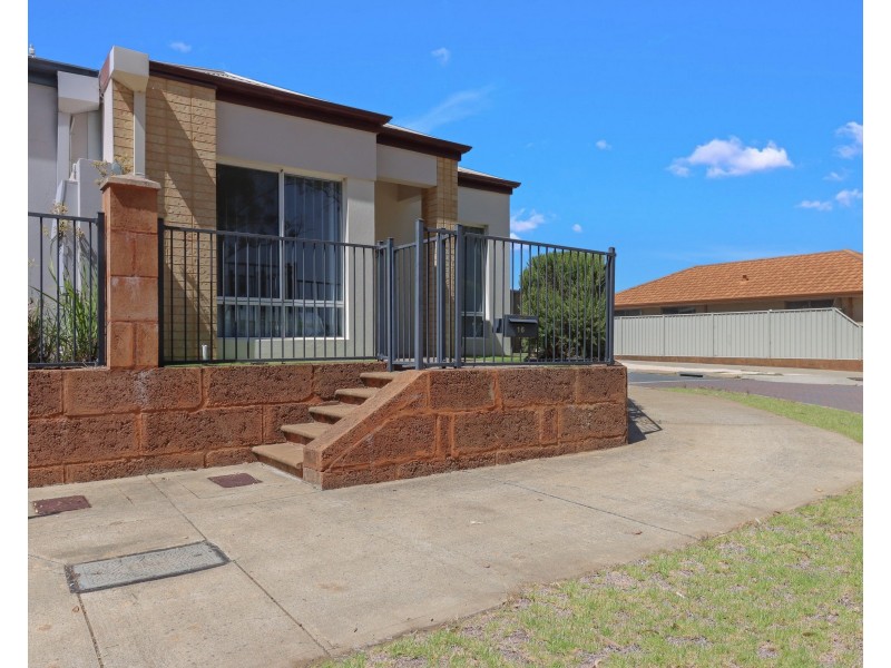 16 Splendour Rd, Baldivis WA 6171