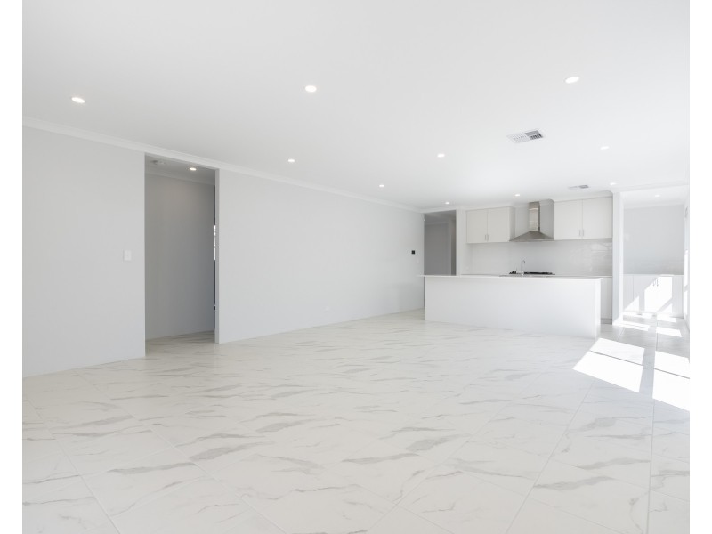 16 Tarot Grove, Baldivis WA 6171