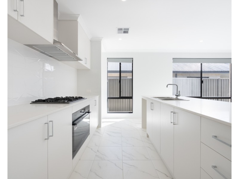 16 Tarot Grove, Baldivis WA 6171