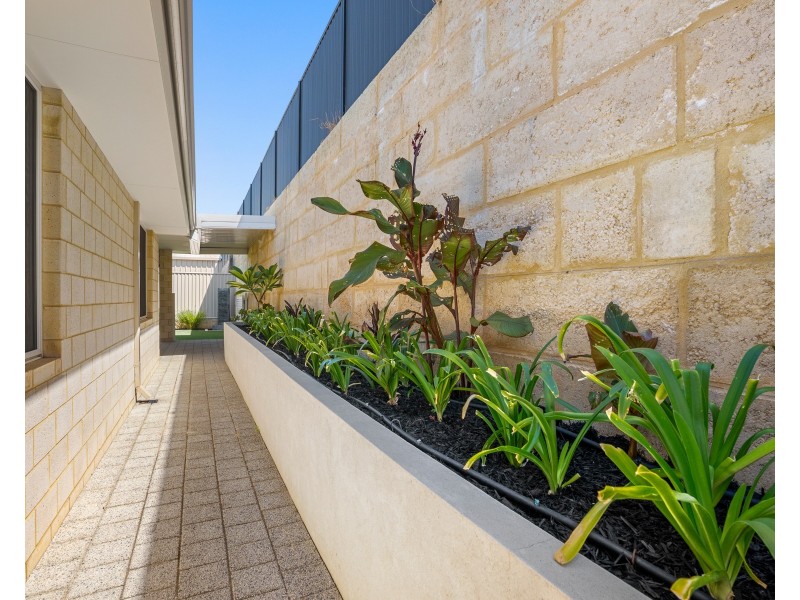 18 Camrose Pkwy, Baldivis WA 6171