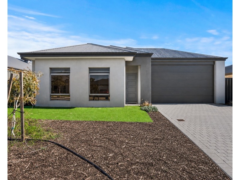 14 VITAE CHASE, Baldivis WA 6171