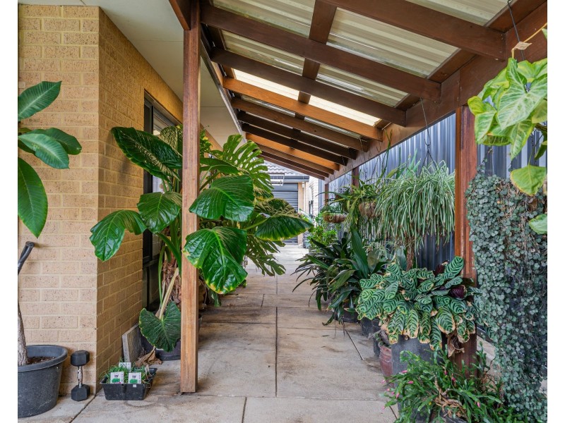 23 Aspera Elbow, Baldivis WA 6171