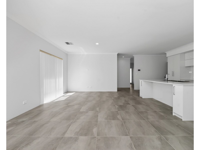 7 ELATION GROVE, Baldivis WA 6171