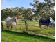 36 Beacham Road, Serpentine WA 6125