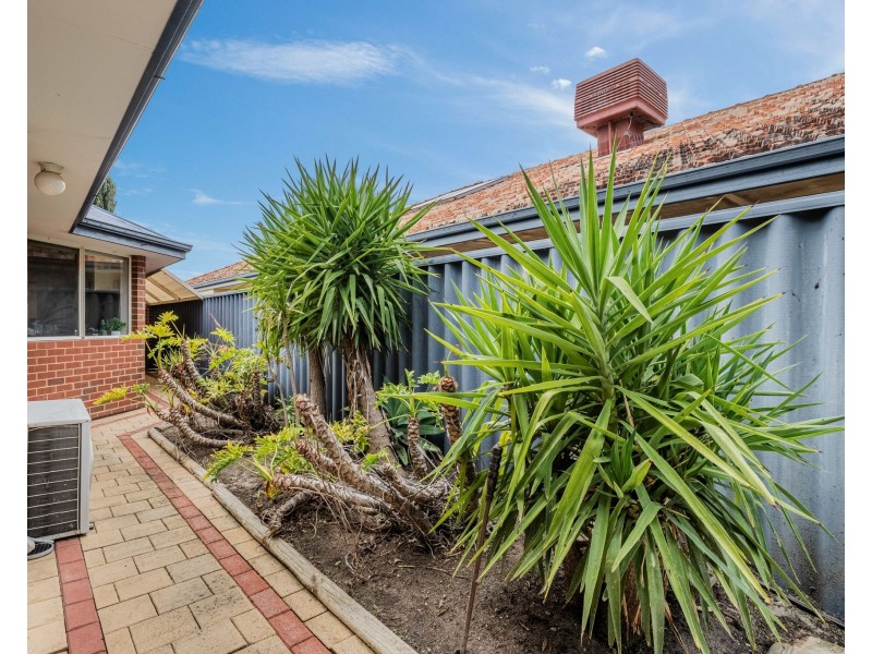 8 Kennedia Circuit, Baldivis WA 6171