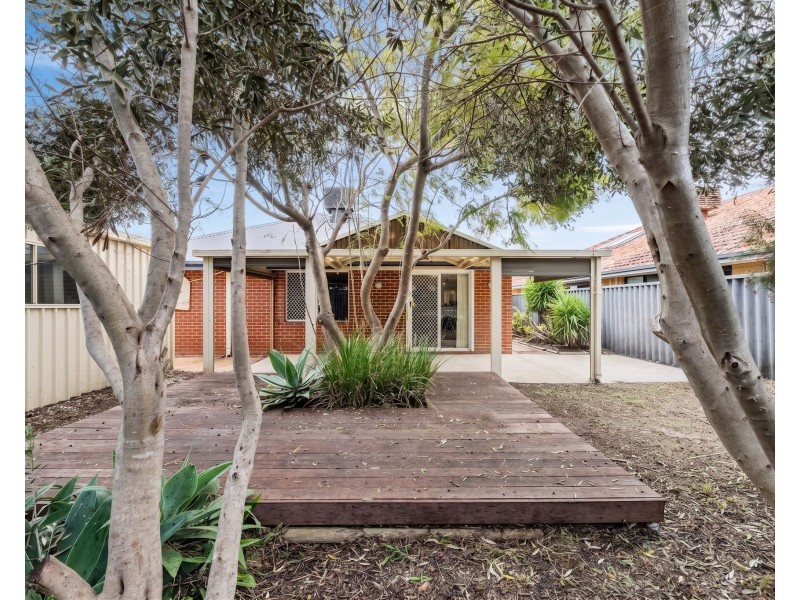 8 Kennedia Circuit, Baldivis WA 6171