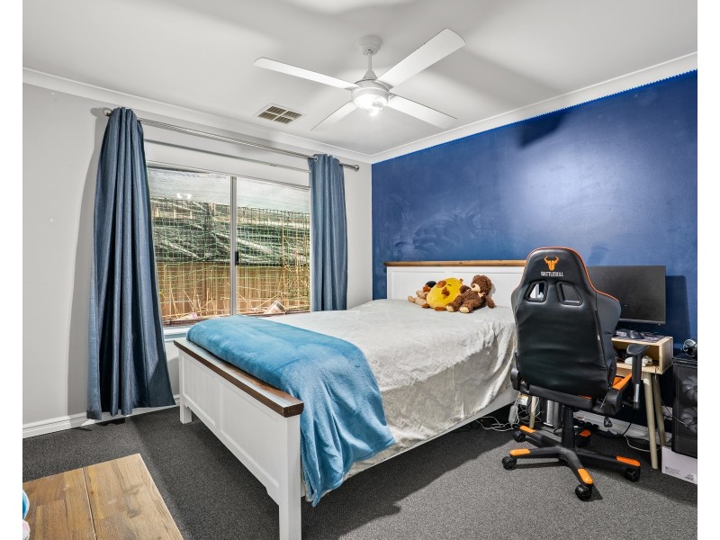 29 Peckham Boulevard, Baldivis WA 6171