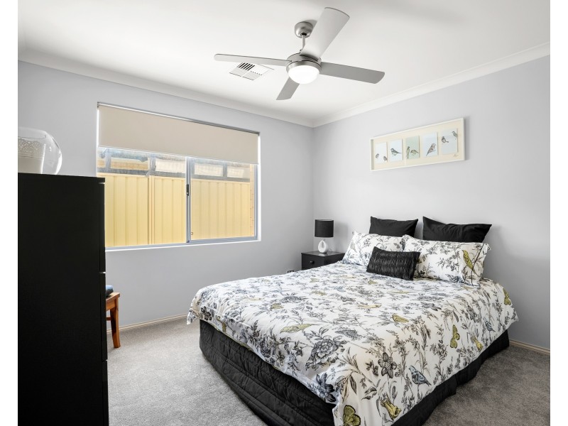 17 David Fisher Loop, Baldivis WA 6171