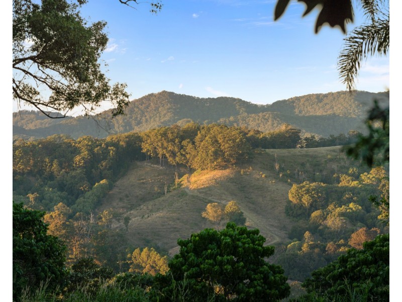 59 Double View Road, Farrants Hill NSW 2484