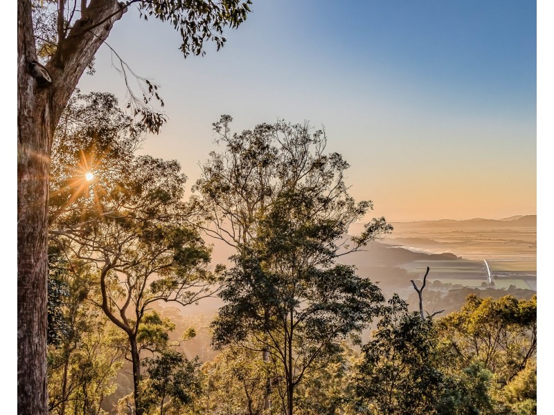 1110 Urliup Road, Urliup NSW 2484