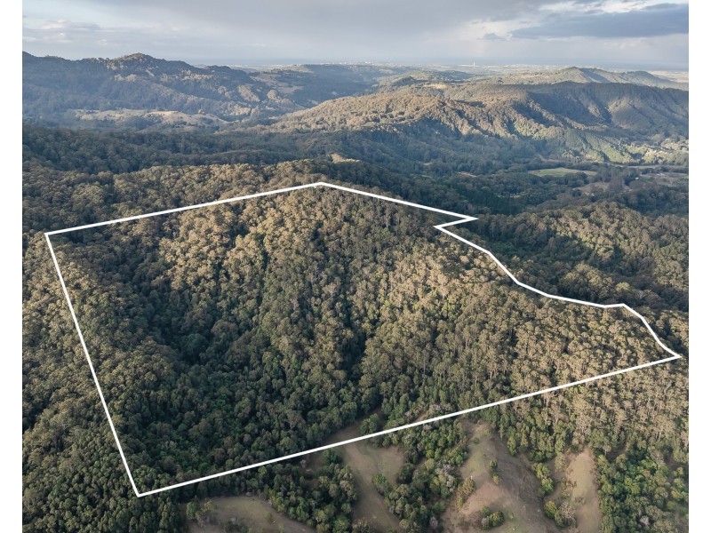 1110 Urliup Road, Urliup NSW 2484