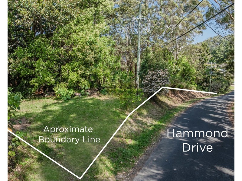 198 Hammond Drive, Clothiers Creek NSW 2484