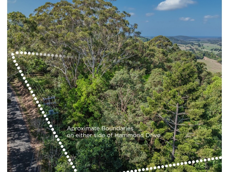 198 Hammond Drive, Clothiers Creek NSW 2484