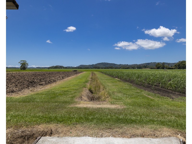 74 McLeod Street, Condong NSW 2484