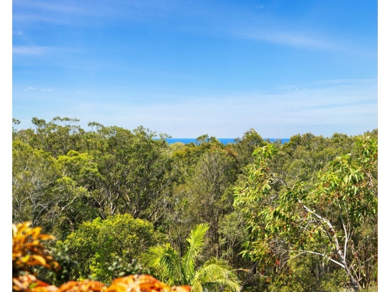 13 Muskheart Circuit, Pottsville NSW 2489