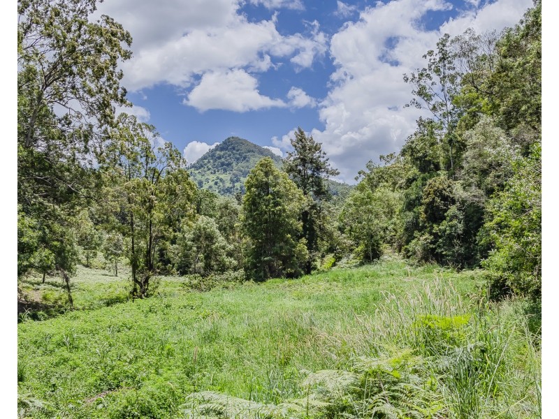 270 Zara Road, Zara NSW 2484