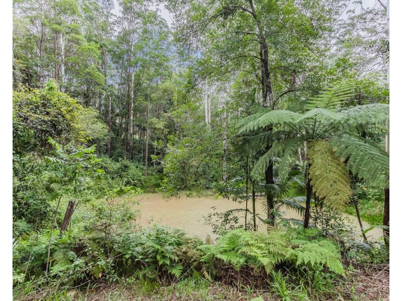 270 Zara Road, Zara NSW 2484