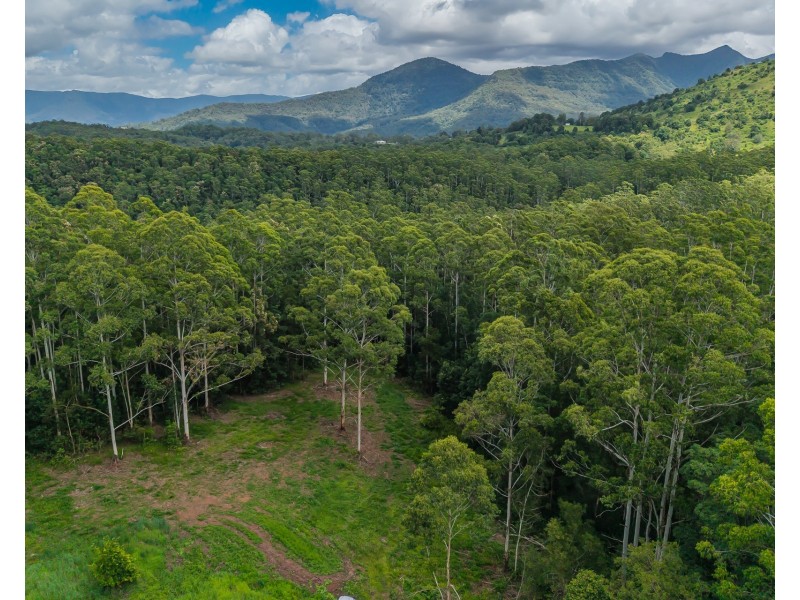 270 Zara Road, Zara NSW 2484