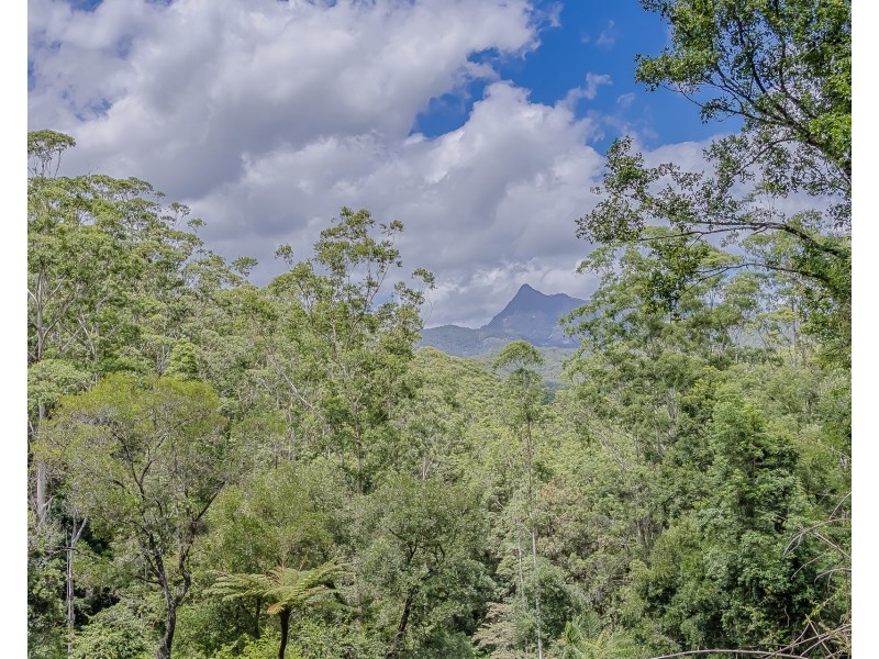 270 Zara Road, Zara NSW 2484