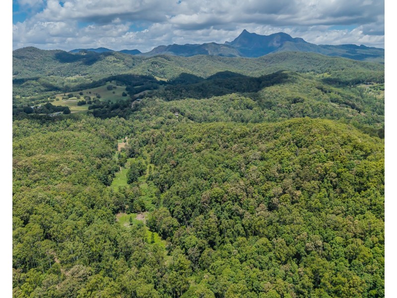 270 Zara Road, Zara NSW 2484