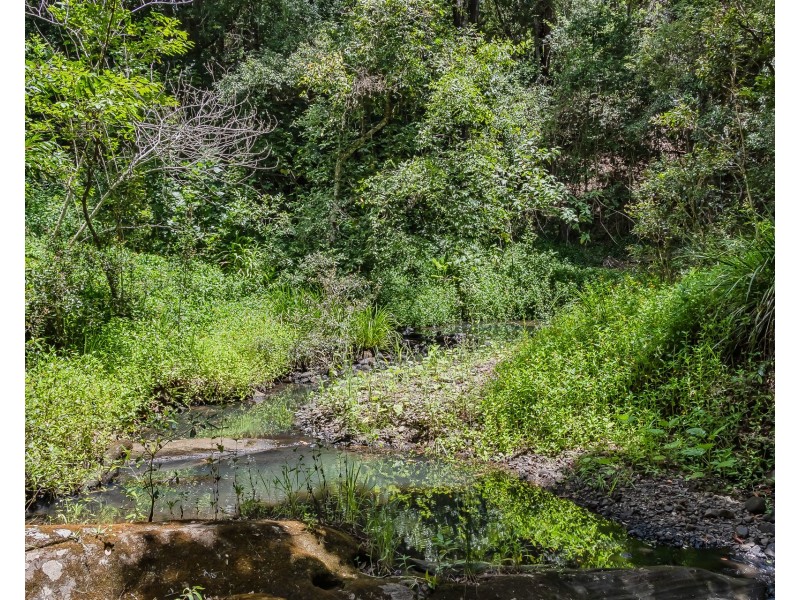 270 Zara Road, Zara NSW 2484