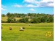 39 Waterfall Creek Road, The Oaks NSW 2570