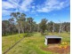 83 Wanawong Street, Belimbla Park NSW 2570