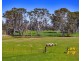 50 Braikfield Avenue, Kemps Creek NSW 2178