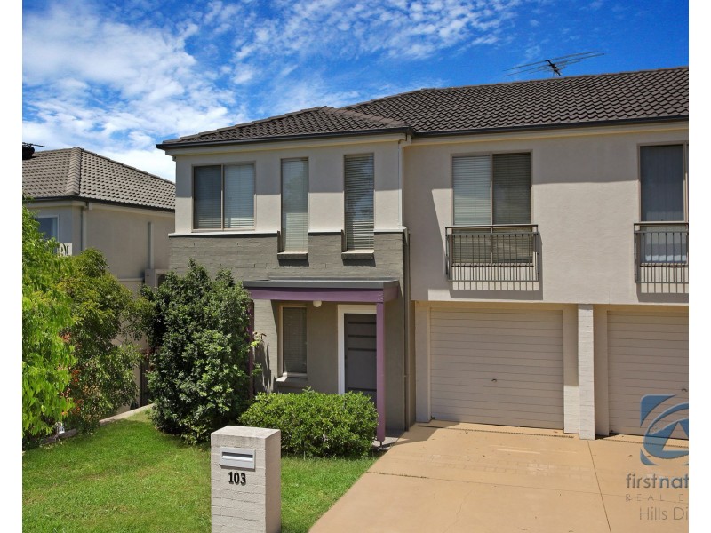 103 Tamarind Drive, Acacia Gardens NSW 2763