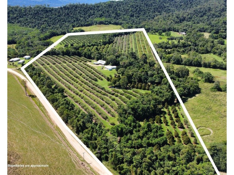 281 Dingo Pocket Rd, Dingo Pocket QLD 4854