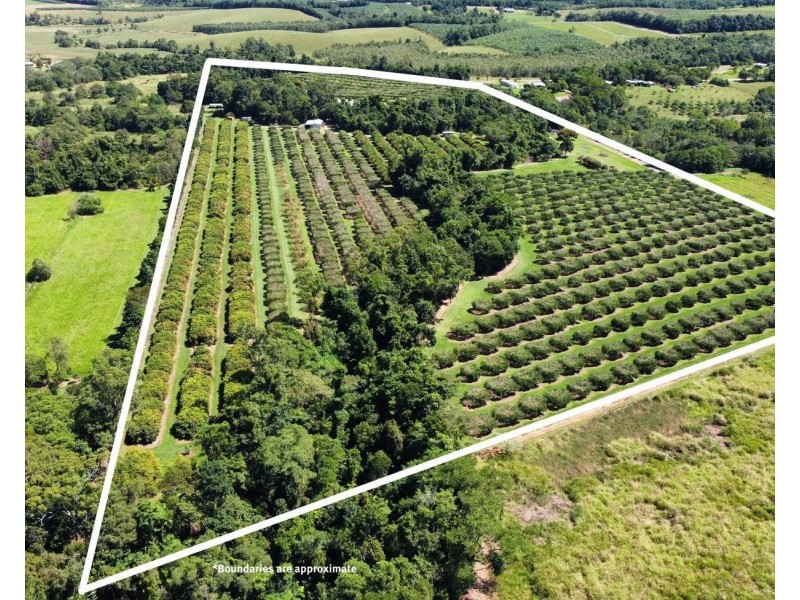 281 Dingo Pocket Rd, Dingo Pocket QLD 4854