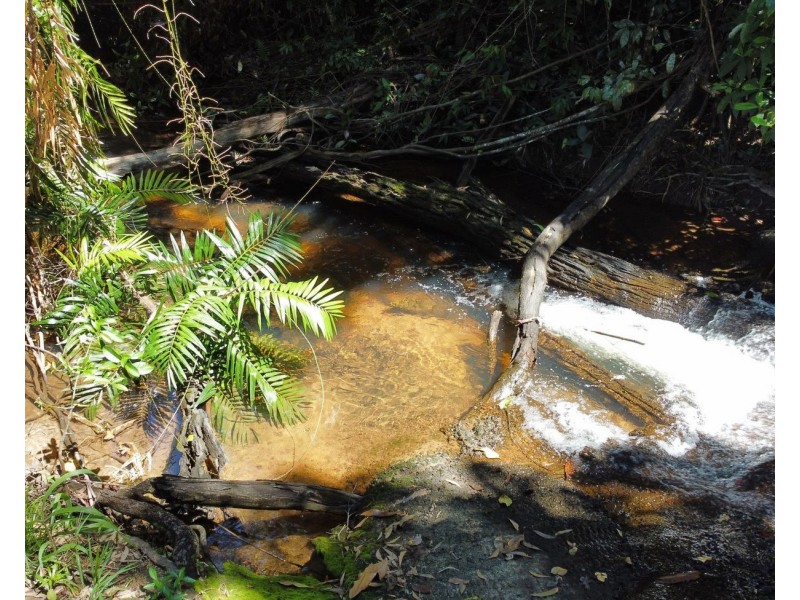 281 Dingo Pocket Rd, Dingo Pocket QLD 4854