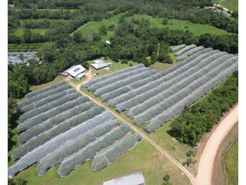 281 Dingo Pocket Rd, Dingo Pocket QLD 4854