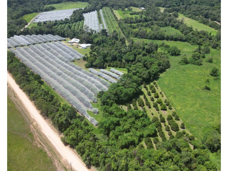 281 Dingo Pocket Rd, Dingo Pocket QLD 4854