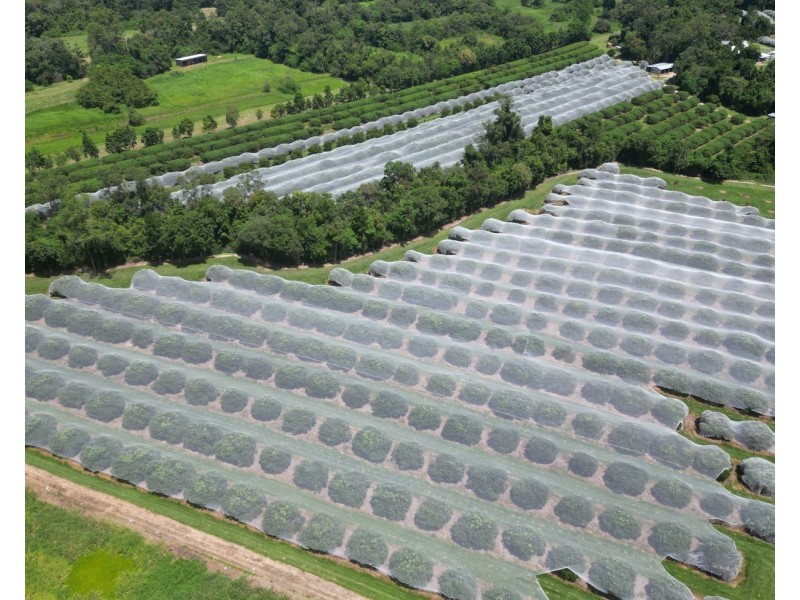 281 Dingo Pocket Rd, Dingo Pocket QLD 4854