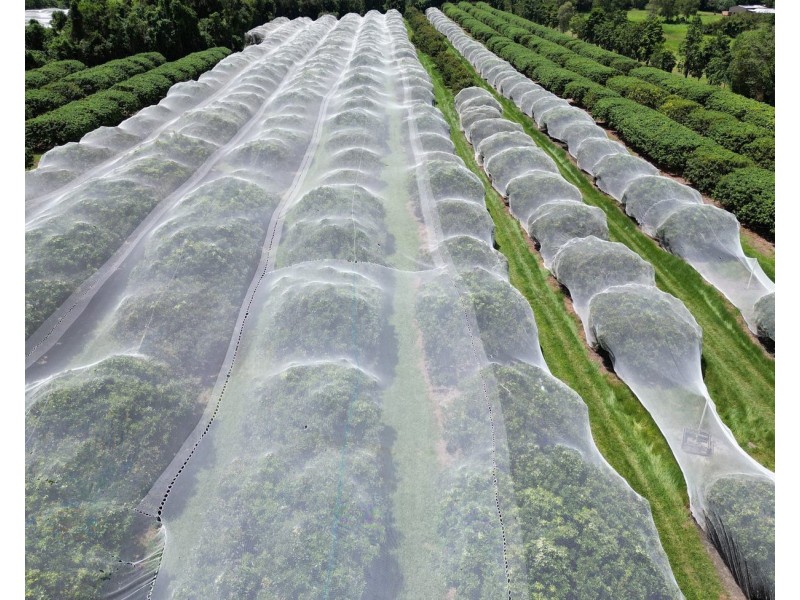 281 Dingo Pocket Rd, Dingo Pocket QLD 4854