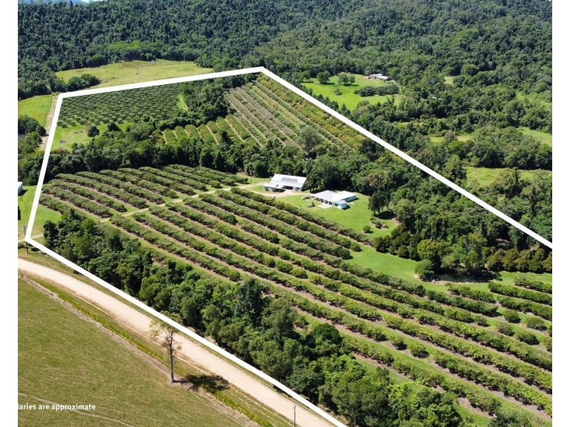 281 Dingo Pocket Rd, Dingo Pocket QLD 4854