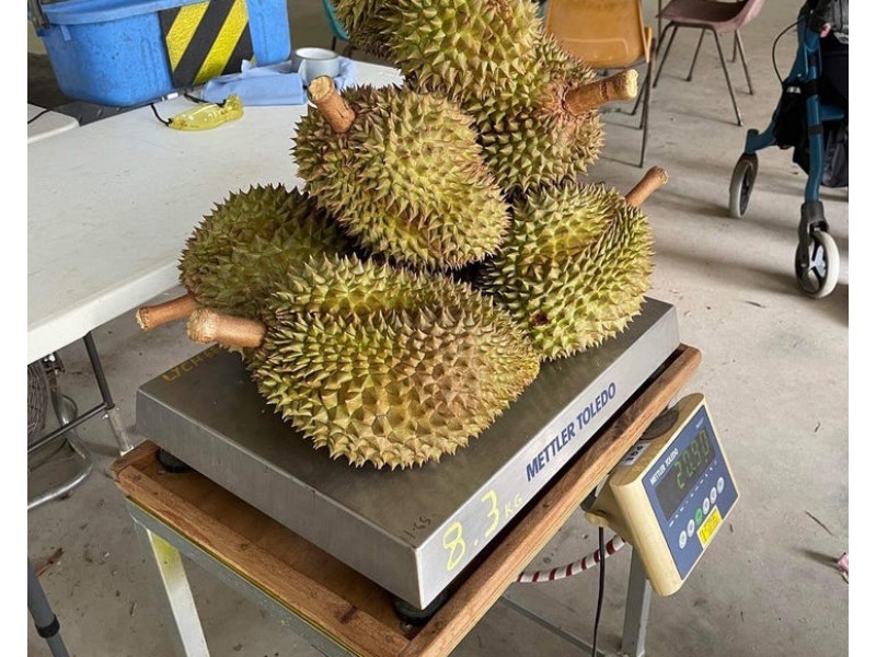 281 Dingo Pocket Rd, Dingo Pocket QLD 4854