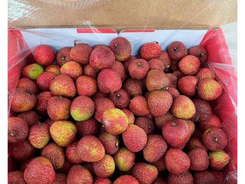 281 Dingo Pocket Rd, Dingo Pocket QLD 4854