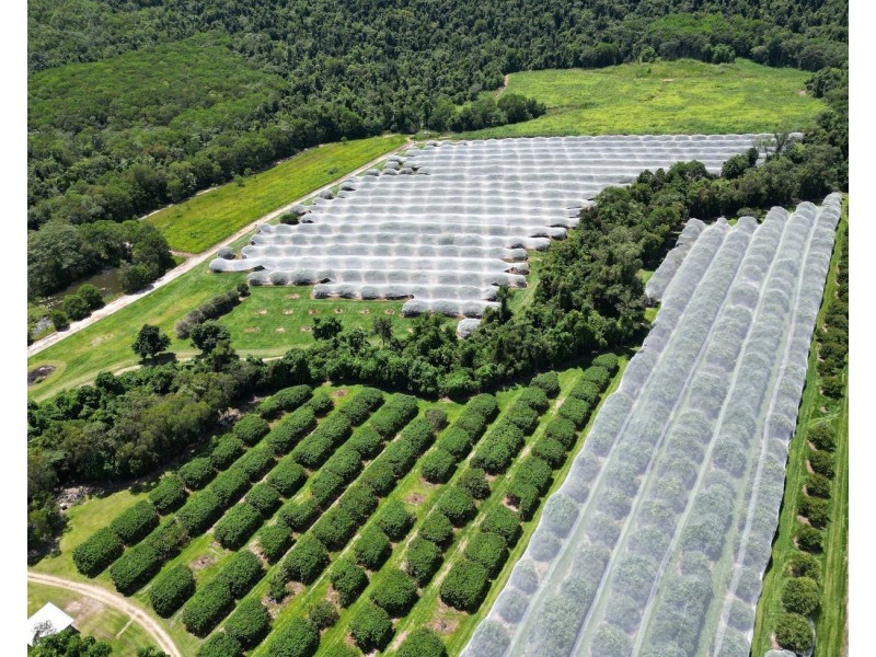 281 Dingo Pocket Rd, Dingo Pocket QLD 4854