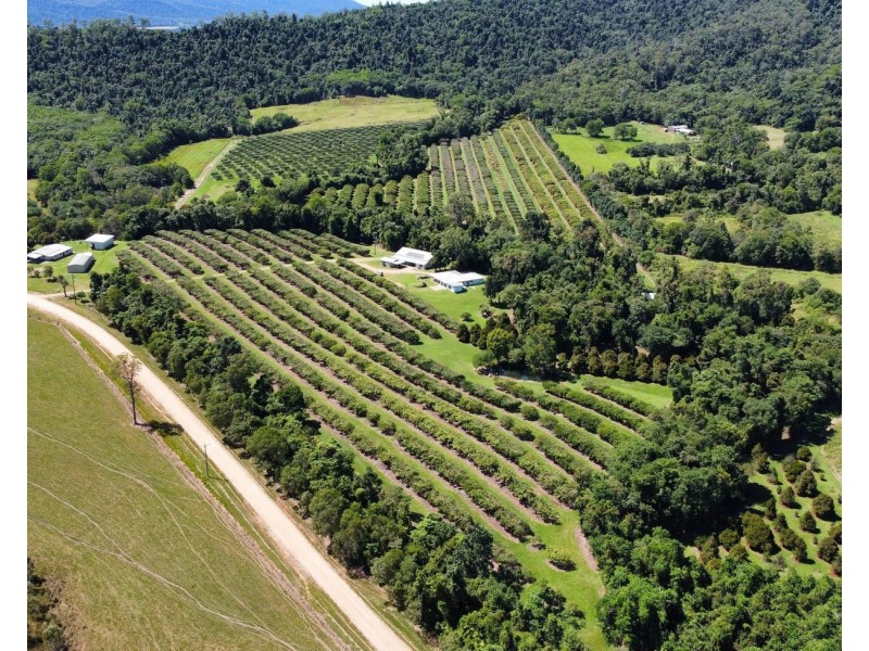 281 Dingo Pocket Rd, Dingo Pocket QLD 4854